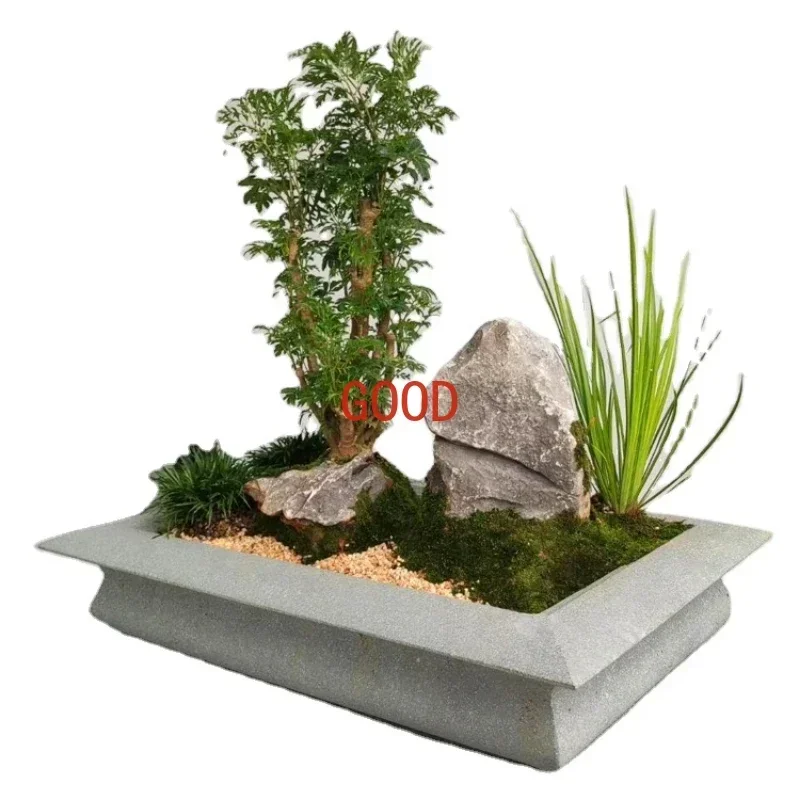 Bonsai Garden Art - وعاء بونساي إبداعي من الحجر الأزرق