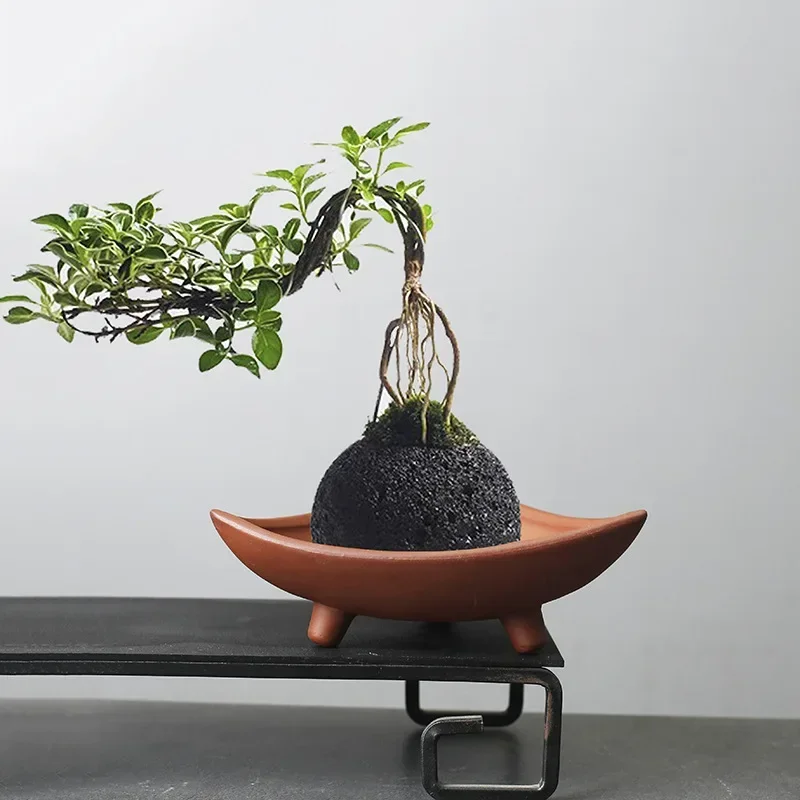 Japanese Garden Bonsai - أواني زهور سيراميك مخصصة للنباتات الداخلية