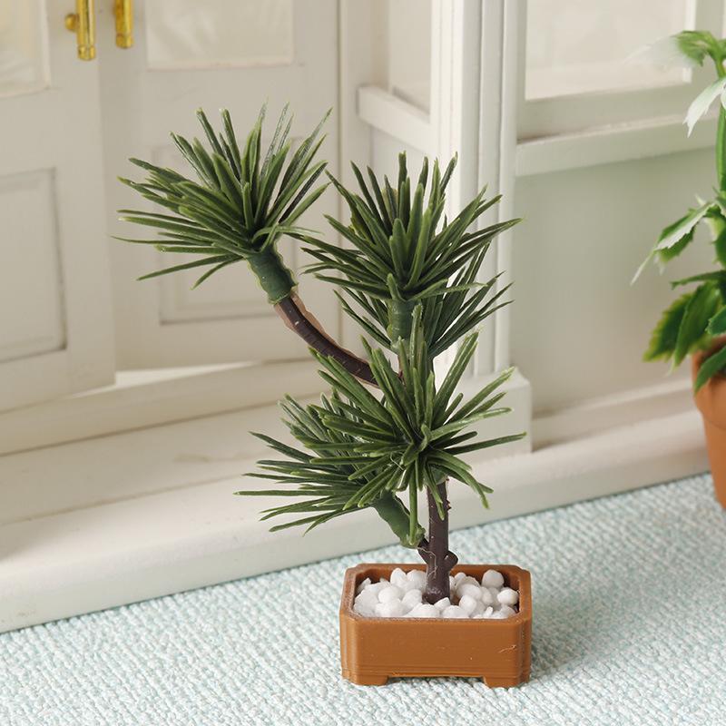 قطعة واحدة من نموذج شجرة الصنو - مراجعة Bonsai Garden Decor وسعره