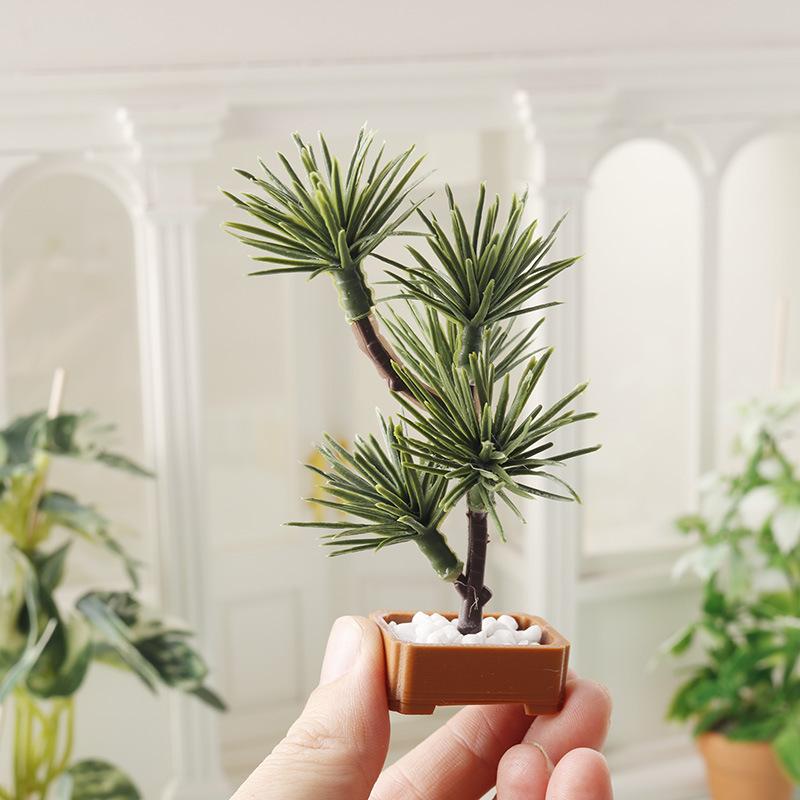 قطعة واحدة من نموذج شجرة الصنو - مراجعة Bonsai Garden Decor وسعره