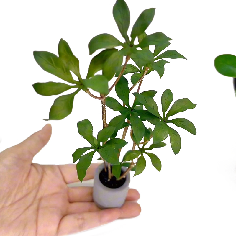 دمية مصغرة نموذج نباتات بوعاء  - مراجعة Bonsai Garden Miniature وسعره
