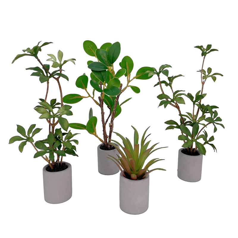 دمية مصغرة نموذج نباتات بوعاء  - مراجعة Bonsai Garden Miniature وسعره