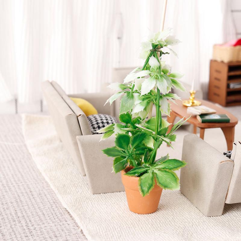 1/12 دمية محاكاة النباتات الخض - مراجعة Bonsai Garden Decor وسعره