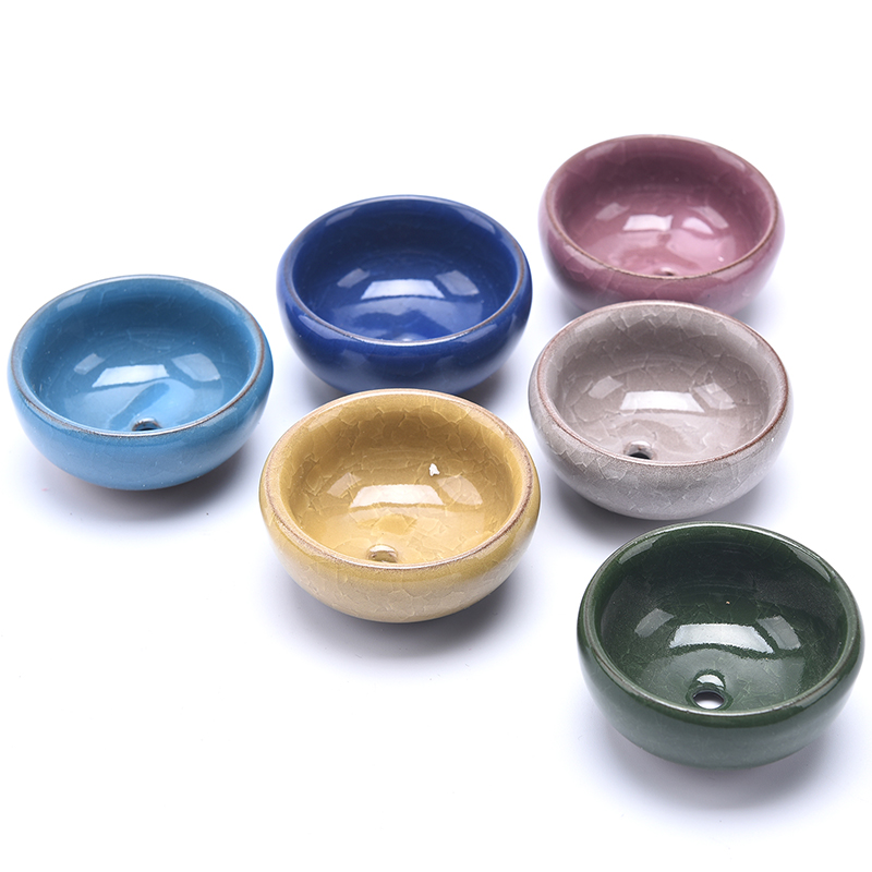 لطيف الجليد الكراك الصقيل زهرة - مراجعة Japanese Garden Bonsai وسعره