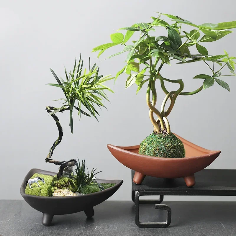 أواني زهور سيراميك مخصصة للنبا - مراجعة Japanese Garden Bonsai وسعره