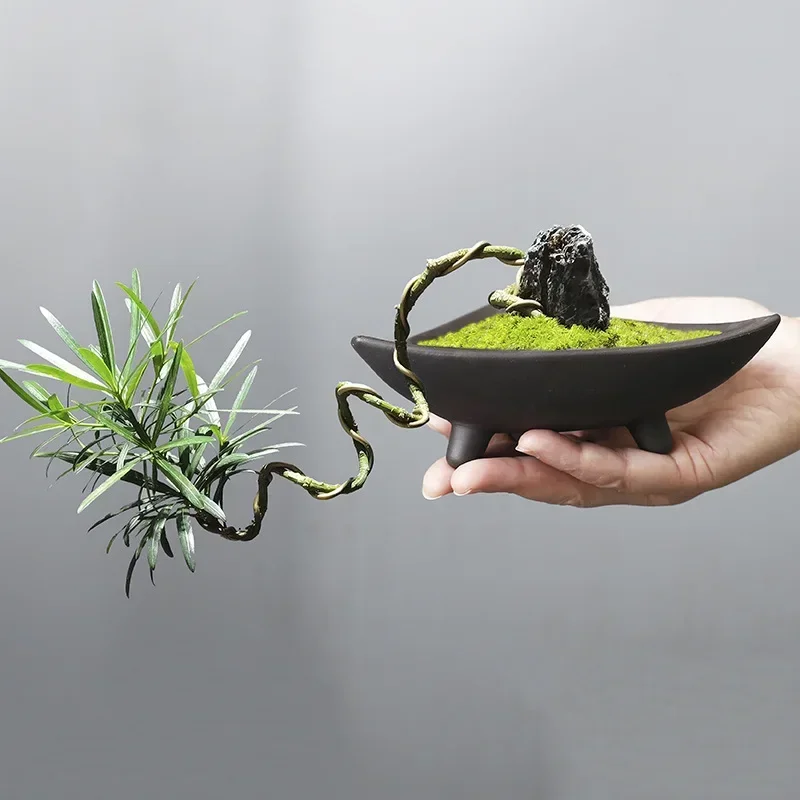 أواني زهور سيراميك مخصصة للنبا - مراجعة Japanese Garden Bonsai وسعره