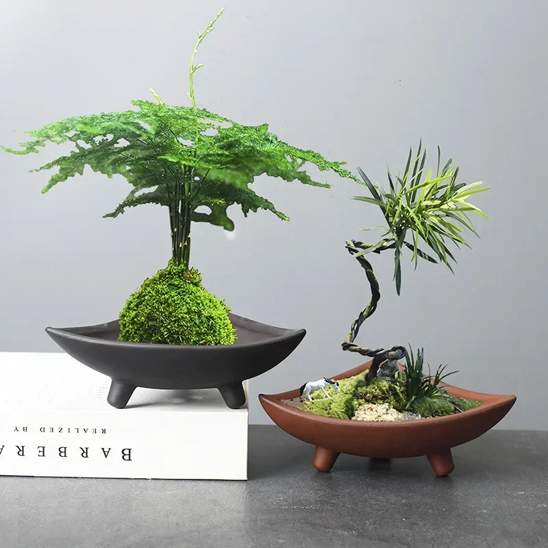 أواني زهور سيراميك مخصصة للنبا - مراجعة Japanese Garden Bonsai وسعره