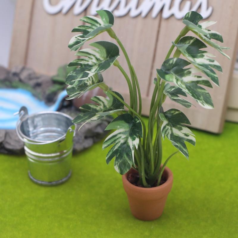 جديد. نموذج نبات مونستيرا أخضر - مراجعة Bonsai Garden Decor وسعره